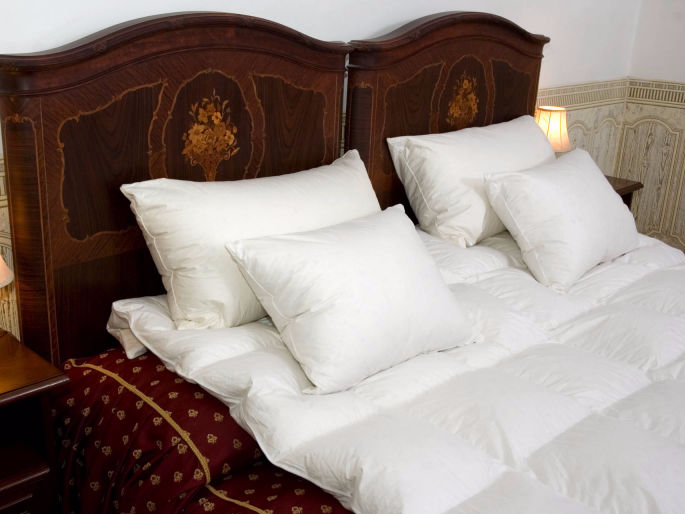 european custom size goose down comforters